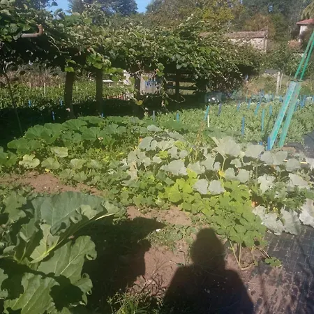 Charming Galician House Holiday home Lois (Pontevedra)