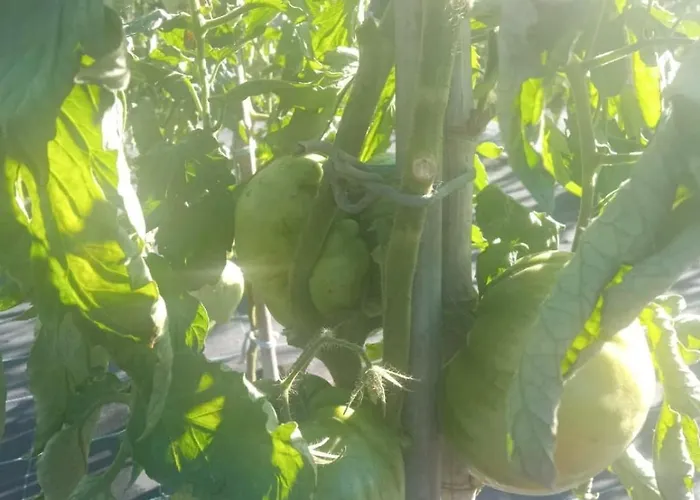 Charming Galician House * Lois (Pontevedra)