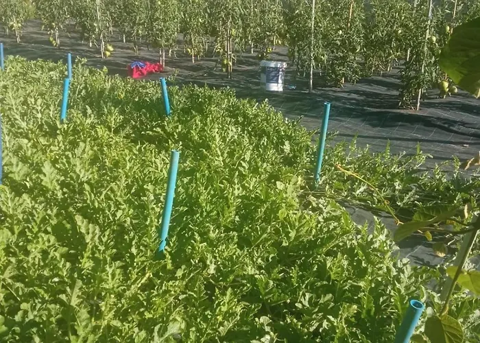 Charming Galician House