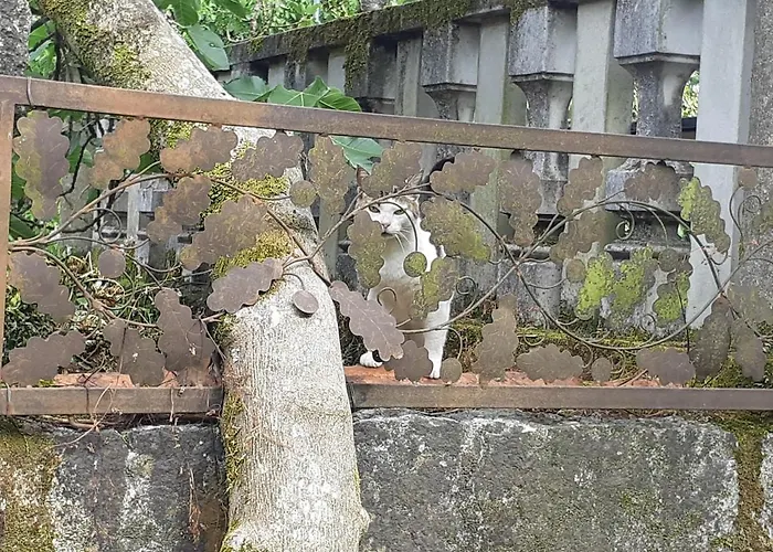 Charming Galician House בית נופש