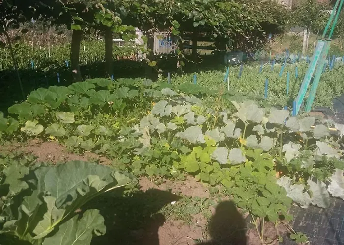 Charming Galician House בית נופש Lois (Pontevedra)