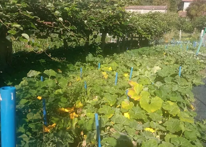 Charming Galician House * Lois (Pontevedra)